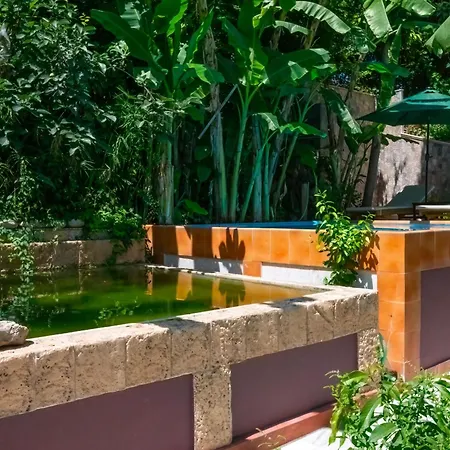 Lägenhet Koskinou Apartments