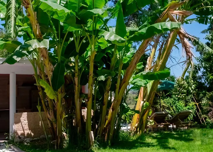 Koskinou Apartments Апартаменты *